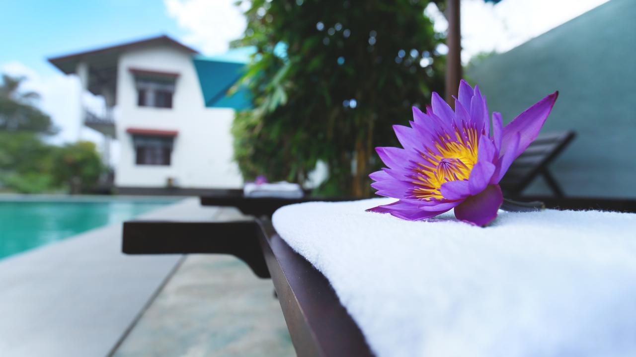 Kaminrich Cottage Matara Buitenkant foto